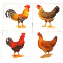 Best Pirce 🥰 Mottles Murals Ceramic Tiles Rooster And Hen Kiln Fired Ceramic Tile Backsplash Chicken, 4-Piece Set 🧨