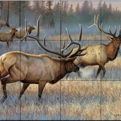 Best Sale 🔔 The Tile Mural Store (USA) Tile Mural, Winner Takes All By Cynthie Fisher 😀